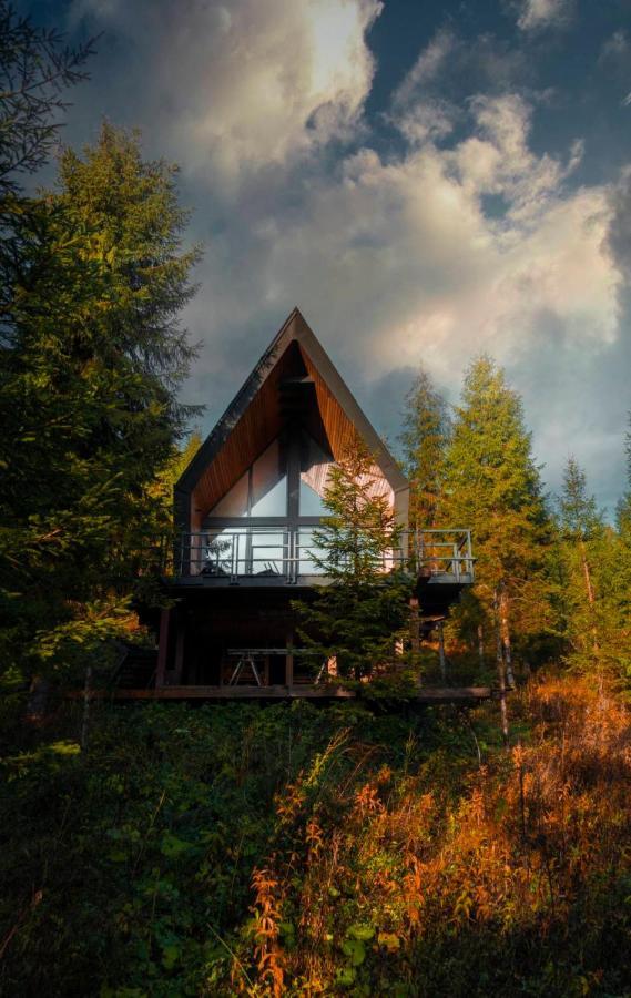 Spitzbergen House Chalet *